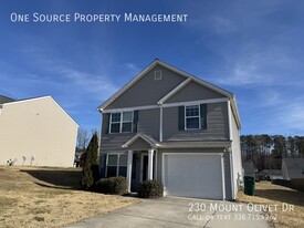 230 Mount Olivet Dr in Winston-Salem, NC - Building Photo