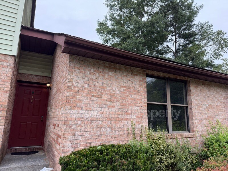 82 Beagle Club Rd in Jumping Branch, WV - Building Photo