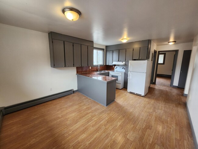 property at 1030 Somerset St