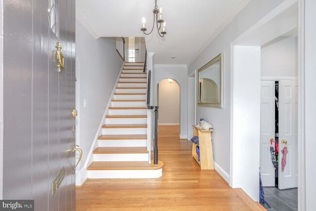 3209 Thornapple St in Chevy Chase, MD - Building Photo - Building Photo