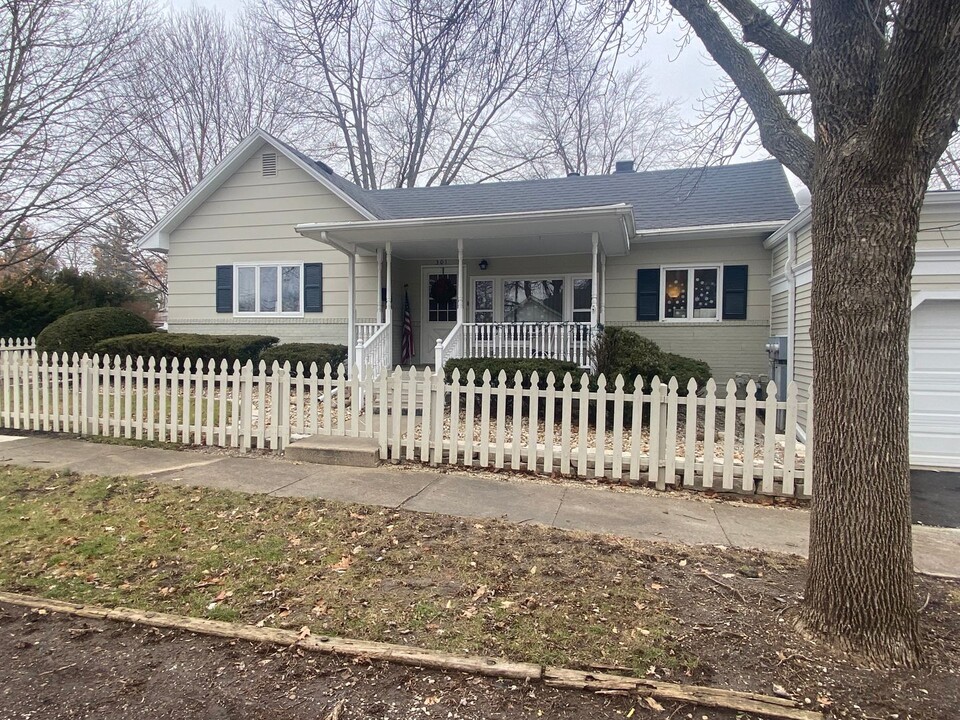 301 E Green St in Farmer City, IL - Building Photo