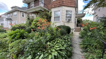 26 Mapleton St in Boston, MA - Building Photo