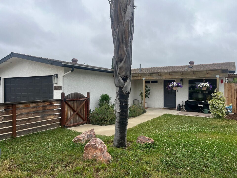 1040 Fairlane Ave in San Marcos, CA - Building Photo