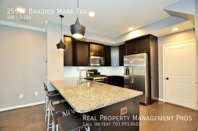 25977 Braided Mane Terrace in Aldie, VA - Building Photo - Building Photo