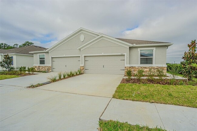 31423 Paper Birch St in Wesley Chapel, FL - Building Photo - Building Photo