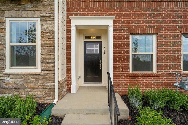 705 Sawback Sq NE in Leesburg, VA - Building Photo - Building Photo