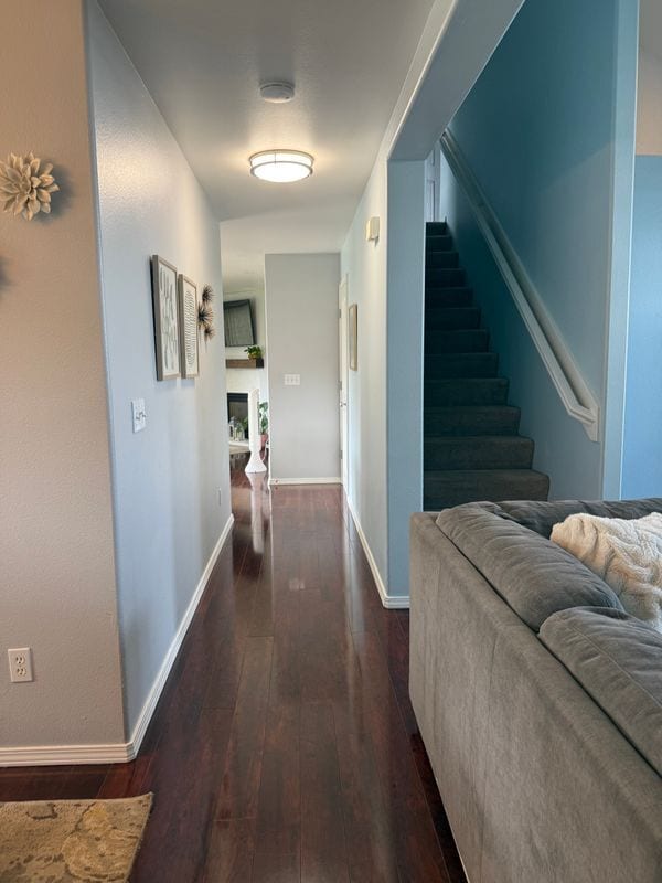 property at 2010 Casey Cusack Loop