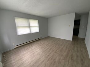 28 N Alexander St in Danville, IL - Building Photo - Building Photo