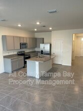 33061 Major Oak Dr in Wesley Chapel, FL - Building Photo - Building Photo