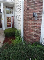 1336 Summersweet Ln in Bartlett, IL - Building Photo