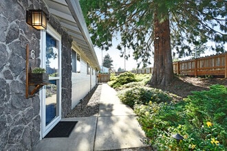 6 SE 136th Ave in Portland, OR - Building Photo - Building Photo