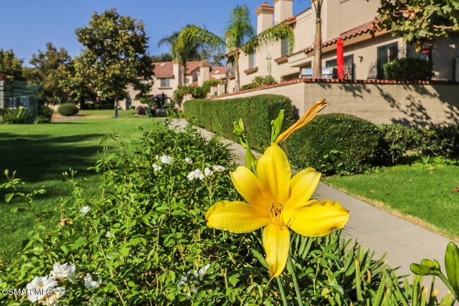 property at 270 Country Club Dr