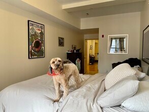 18 Parmenter St in Boston, MA - Building Photo - Building Photo