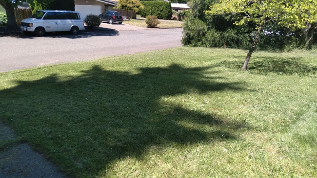 404-404 N Morton St in Newberg, OR - Foto de edificio - Building Photo