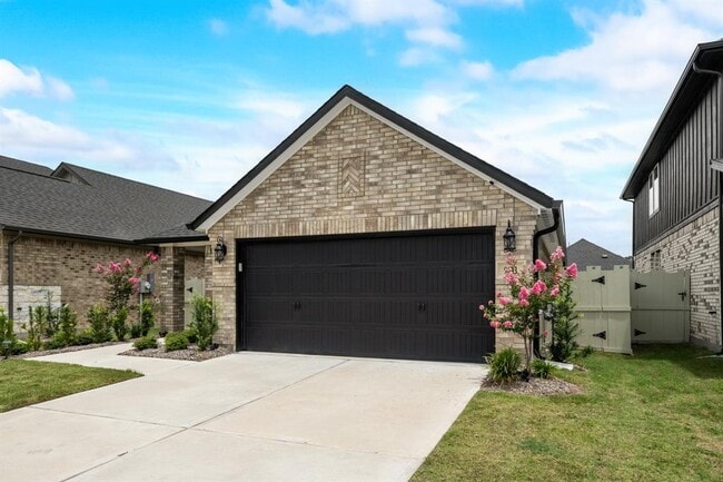 9611 Blue Water Hyssop in Conroe, TX - Building Photo - Building Photo