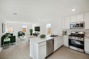 18246 Via Aurelia Dr in New Caney, TX - Building Photo