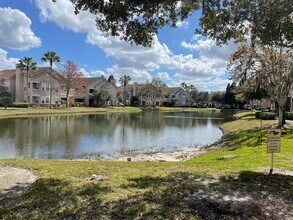 17975 Villa Creek Dr in Tampa, FL - Building Photo - Building Photo