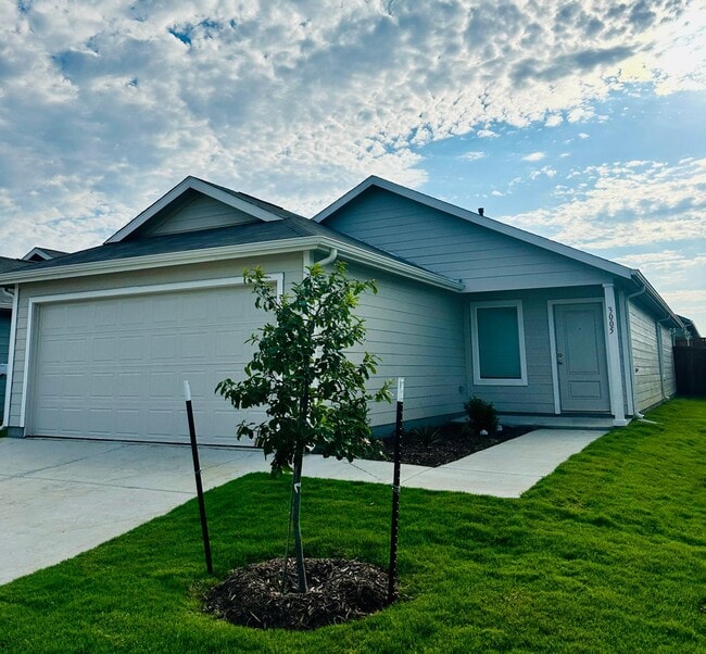 property at 3005 Burmese St