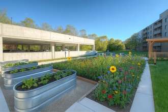 271 Platts Lane in London, ON - Building Photo - Building Photo