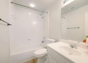 2316 Village View Loop in Pflugerville, TX - Building Photo - Building Photo