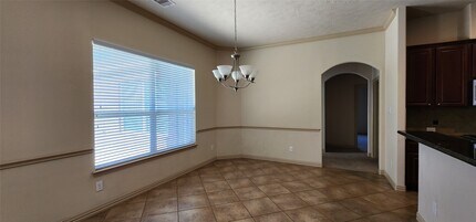 24923 Florina Ranch Dr in Katy, TX - Building Photo - Building Photo