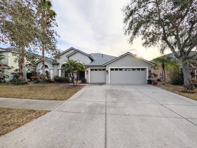 19106 Native Fern Way in Tampa, FL - Building Photo - Building Photo