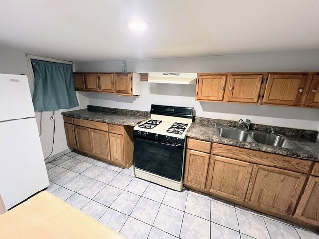 2936 N Dawson Ave in Chicago, IL - Building Photo - Building Photo