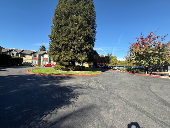 property at 206 Vista Prieta Ct