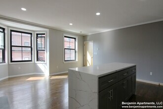 153 W Brookline St, Unit 4 in Boston, MA - Building Photo - Building Photo
