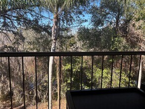 8838 Coral Palms Ct in Kissimmee, FL - Building Photo - Building Photo