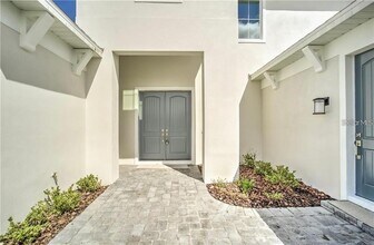 31808 Tortuga Shr Lp in Wesley Chapel, FL - Building Photo - Building Photo