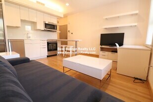 115 Mt Auburn St, Unit 13 in Cambridge, MA - Building Photo