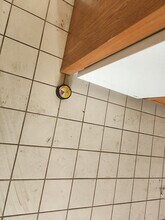 413-415-415 N 6th Ave in Altoona, PA - Building Photo - Building Photo