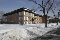 530 W Stevens Dr in Addison, IL - Foto de edificio - Building Photo