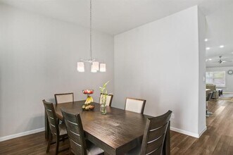 1613 Wayback Dr in Celina, TX - Building Photo - Building Photo