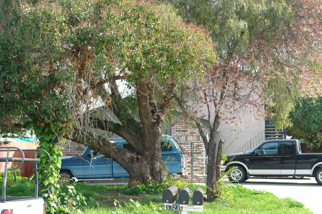 37236 Oak St in Newark, CA - Foto de edificio - Building Photo