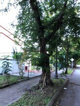 76 NE 48th St in Miami, FL - Building Photo - Building Photo