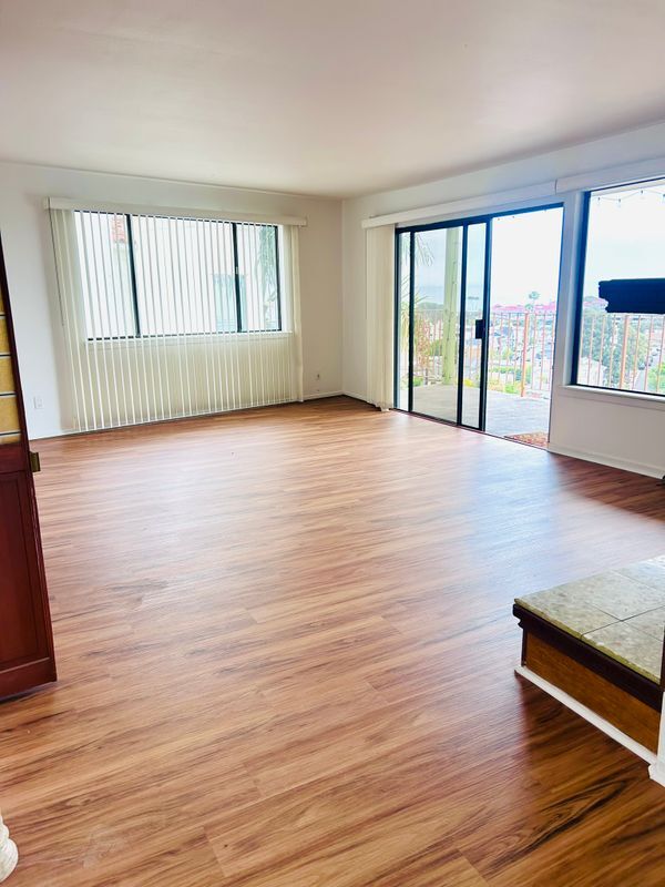 25072 Alicia Dr in Dana Point, CA - Building Photo - Building Photo