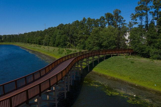 The Oasis at Town Center in Jacksonville, FL - Building Photo - Building Photo