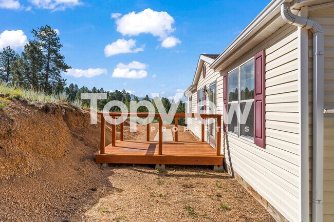 215 Star View Trail in Divide, CO - Building Photo - Building Photo