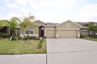 12115 Streambed Dr in Riverview, FL - Building Photo