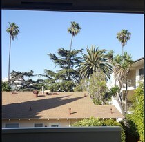 1038 12th St, Unit B in Santa Monica, CA - Building Photo