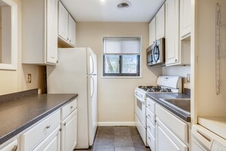 7611 Maple Ave in Takoma Park, MD - Foto de edificio - Building Photo