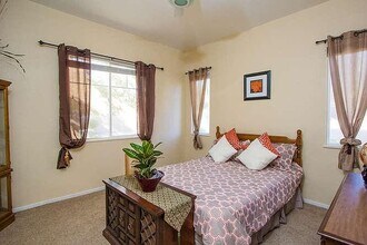 447 Elegance Pl in Folsom, CA - Foto de edificio - Building Photo