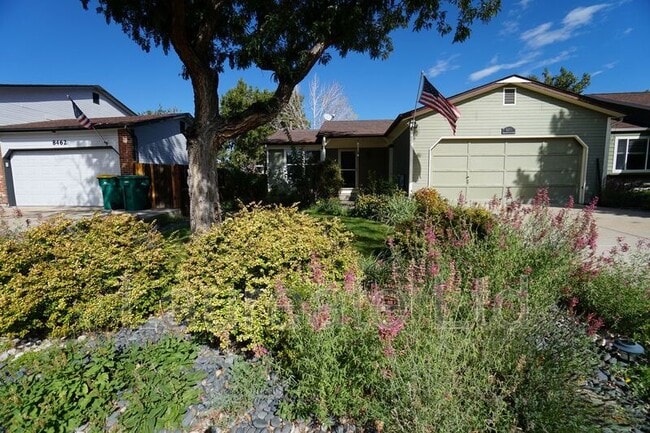 8468 Wild Alfalfa Pl in Parker, CO - Building Photo - Building Photo