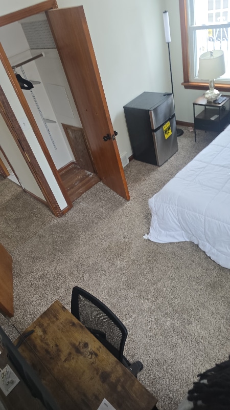 316 Halle Dr in Euclid, OH - Building Photo - Building Photo