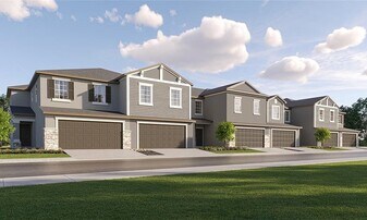 17740 Tawny Malt Pl in Land O Lakes, FL - Building Photo