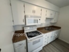 1039 5th St in West Des Moines, IA - Building Photo - Building Photo