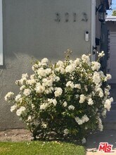 3113 W 36th St in Los Angeles, CA - Building Photo - Building Photo