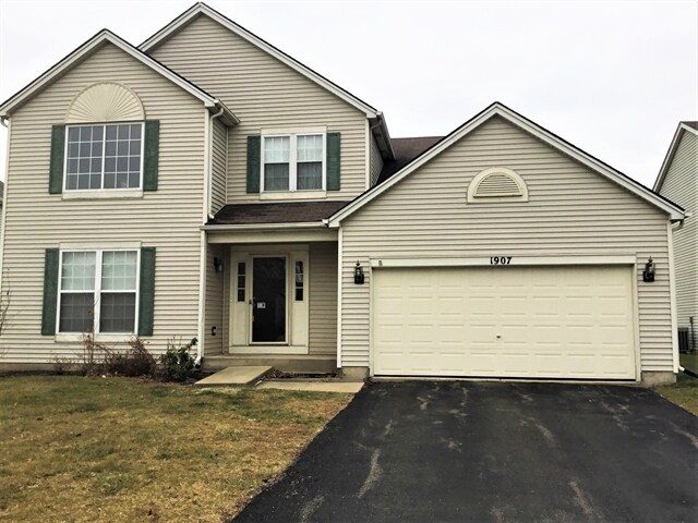 1907 Arbor Falls Dr in Plainfield, IL - Foto de edificio